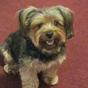 Meet your Posher, Maira